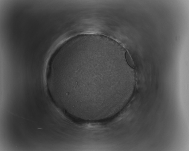 X0000088690296200706141417