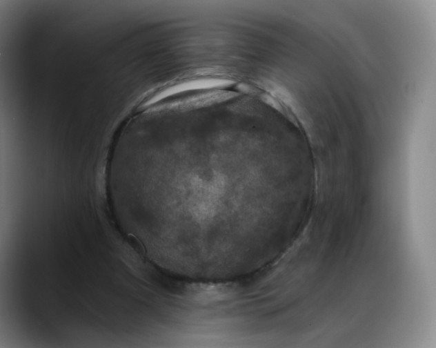 X0000088690297200706141417