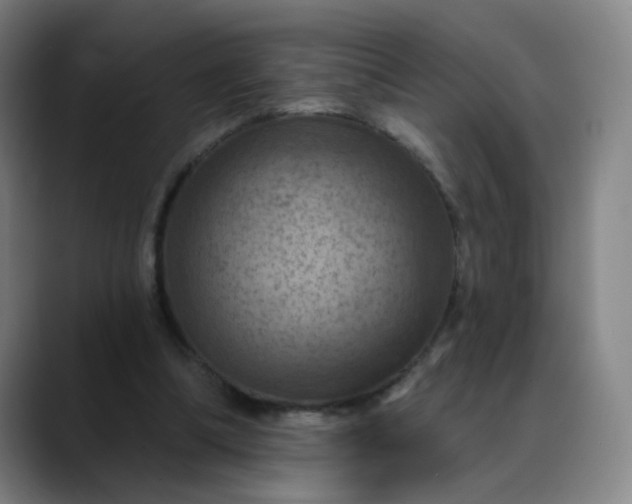 X0000088690298200706141417