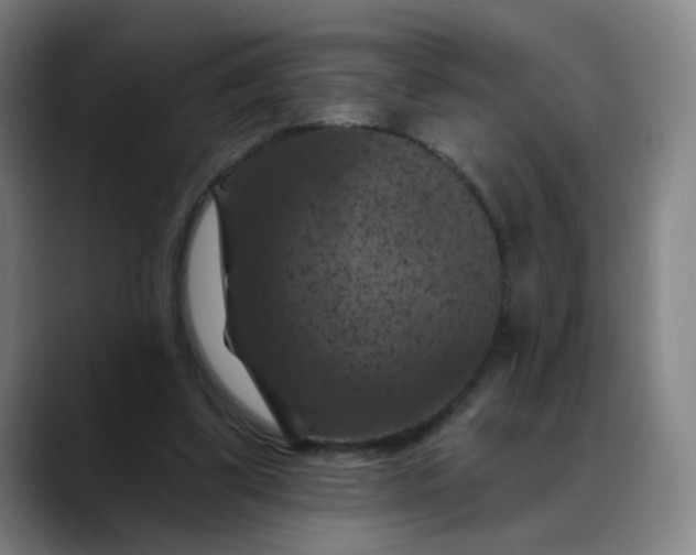 X0000088690299200706141417