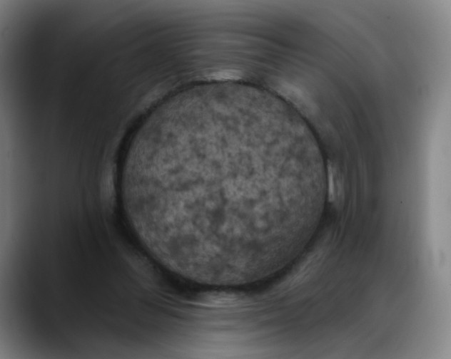 X0000088690300200706141417