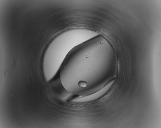 X0000088690301200706141417
