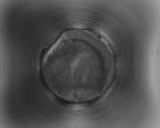 X0000088690305200706141417