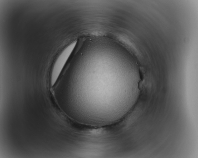X0000088690306200706141417
