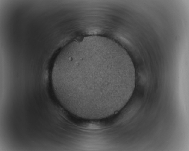X0000088690308200706141417