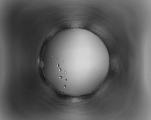 X0000088690310200706141417
