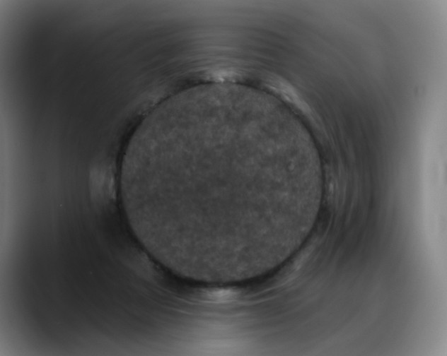 X0000088690313200706141417