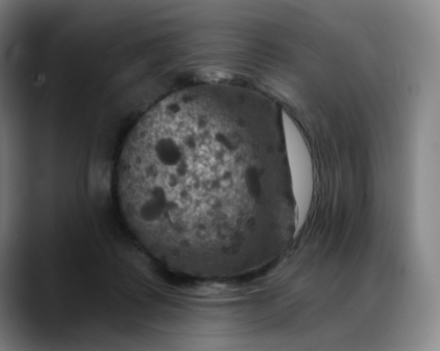 X0000088690315200706141417