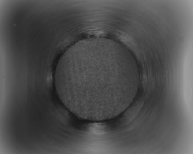 X0000088690320200706141417