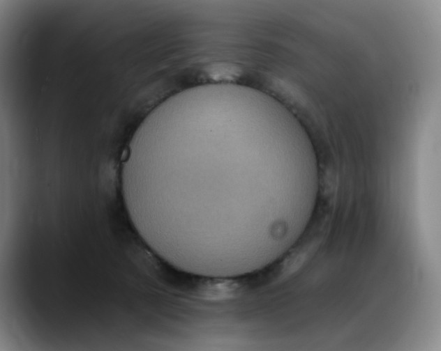 X0000088690321200706141417