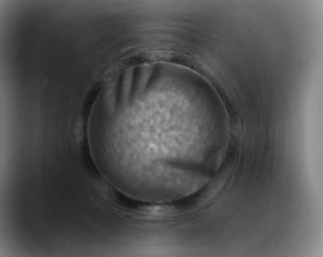 X0000088690323200706141417