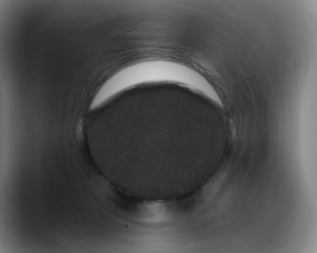 X0000088690325200706141417
