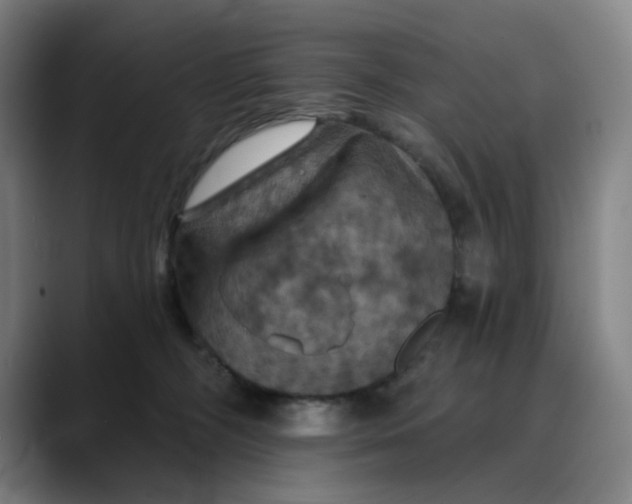 X0000088690326200706141417