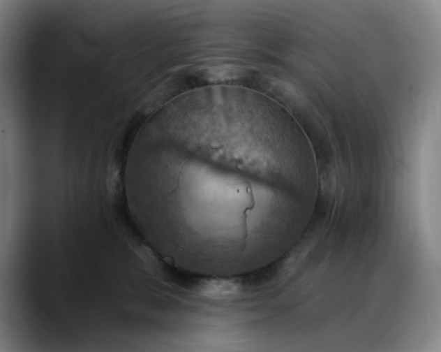 X0000088690327200706141417
