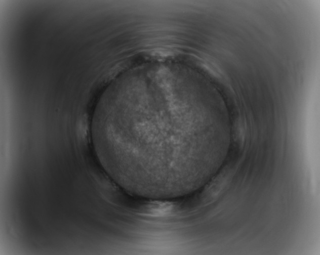 X0000088690328200706141417