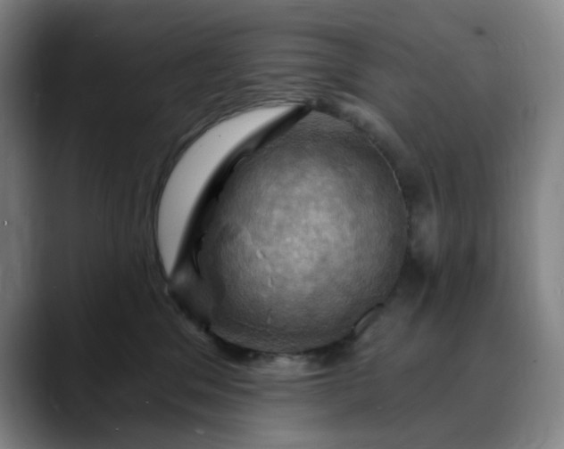 X0000088690329200706141417