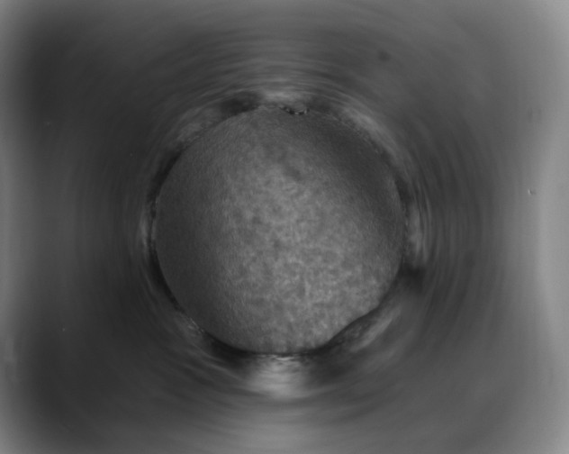 X0000088690333200706141417