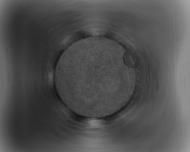 X0000088690336200706141417