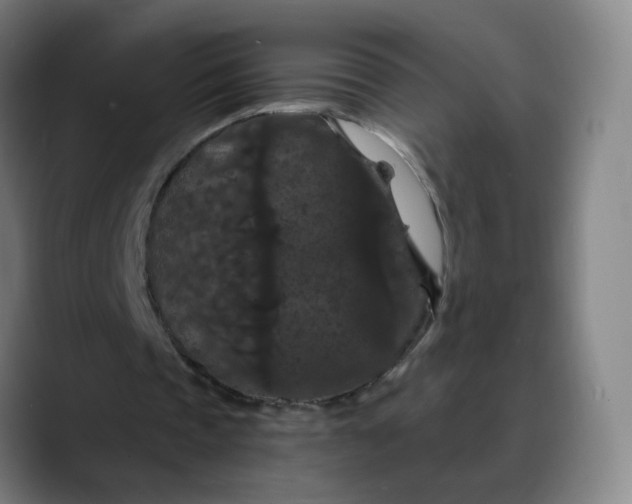 X0000088690337200706141416