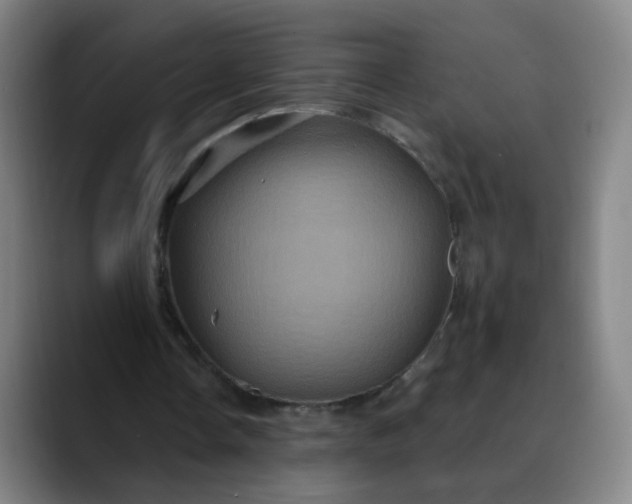 X0000088690338200706141416