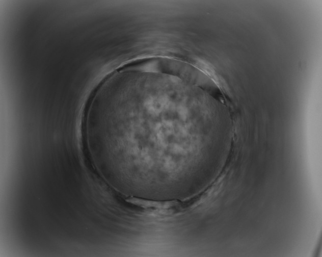 X0000088690340200706141416