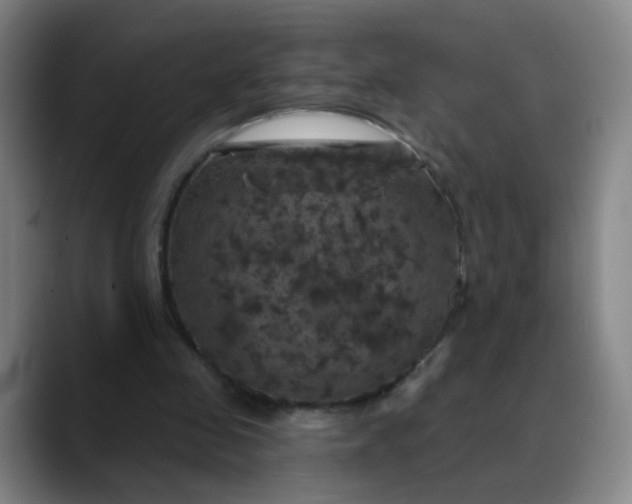 X0000088690341200706141416