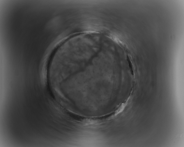 X0000088690343200706141416