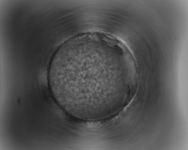X0000088690345200706141416