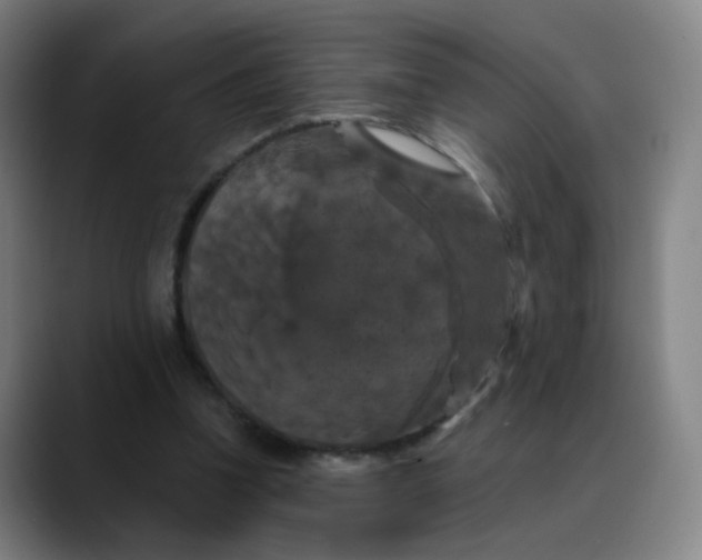 X0000088690346200706141416
