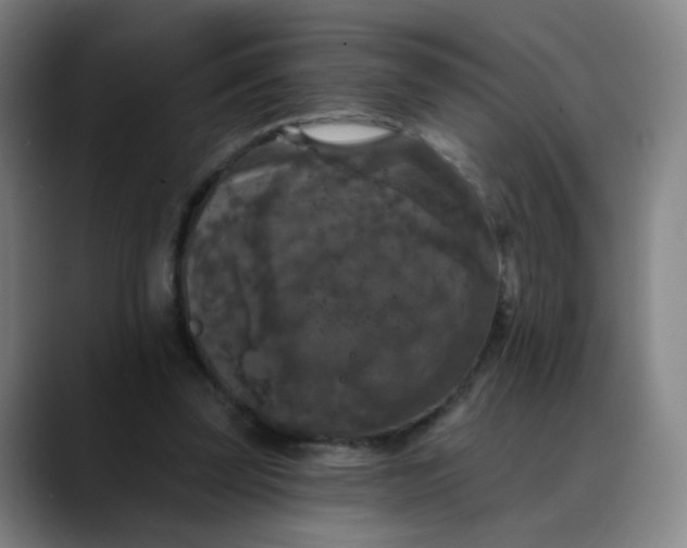 X0000088690347200706141416