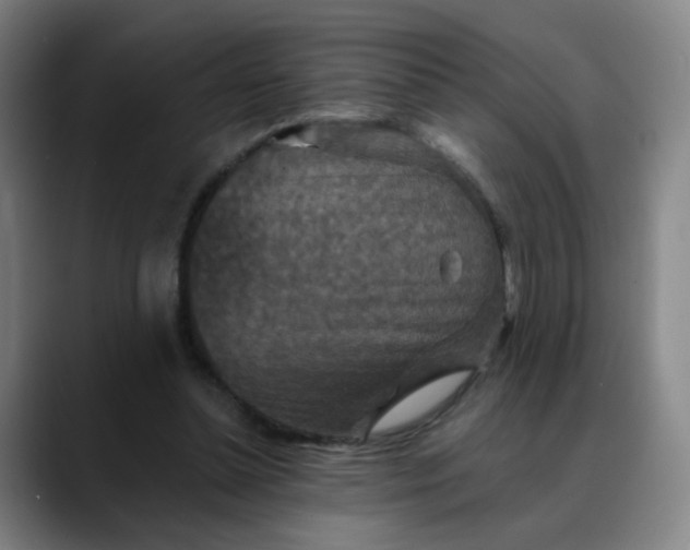 X0000088690348200706141416