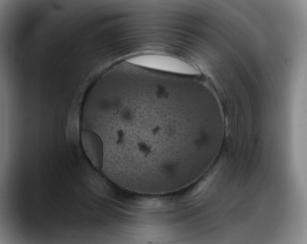 X0000088690349200706141416