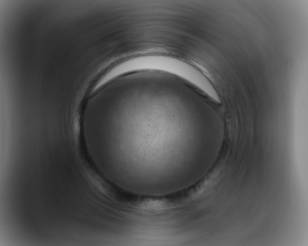 X0000088690350200706141416