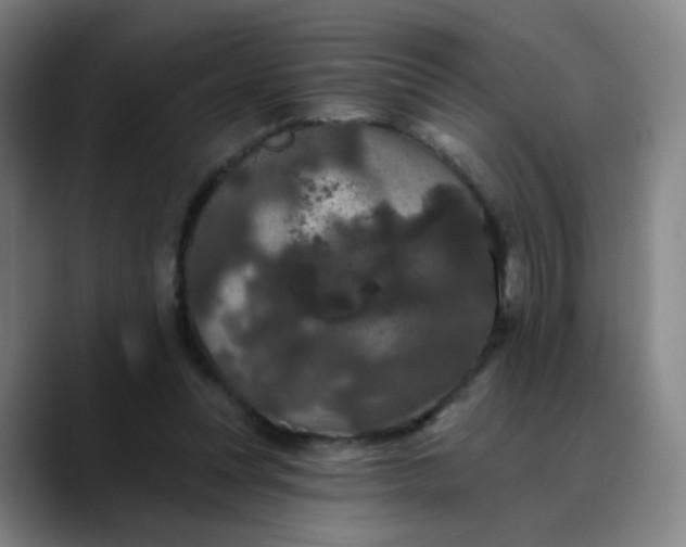X0000088690351200706141416