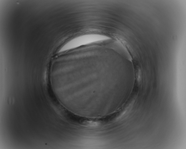 X0000088690352200706141416