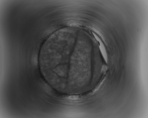 X0000088690353200706141416