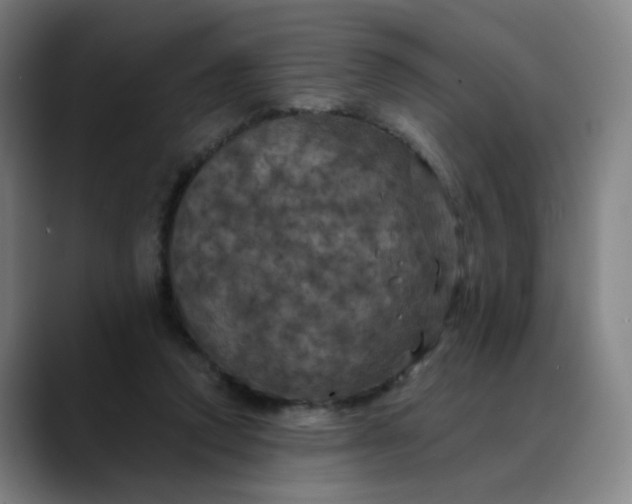X0000088690354200706141416