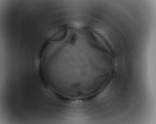 X0000088690355200706141416