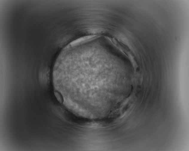 X0000088690356200706141416