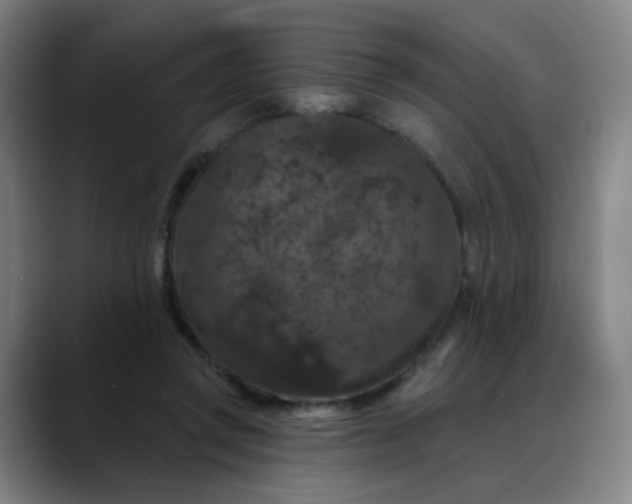 X0000088690357200706141416