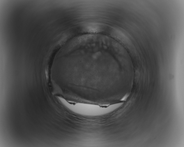 X0000088690358200706141416