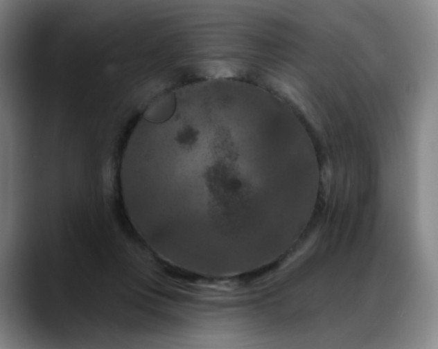 X0000088690359200706141416