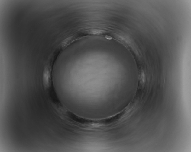 X0000088690360200706141416