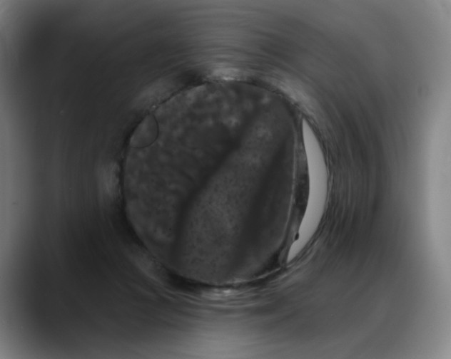 X0000088690361200706141416