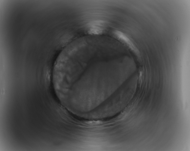 X0000088690363200706141416