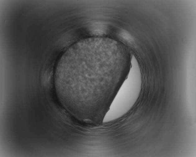 X0000088690364200706141416