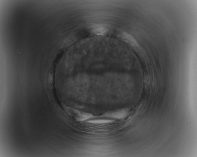 X0000088690365200706141416