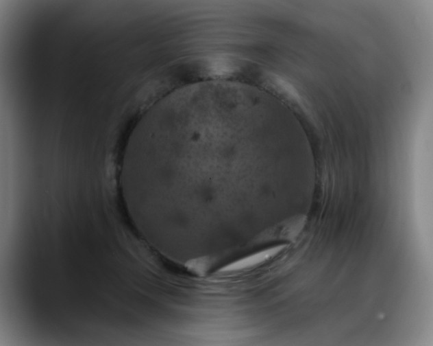 X0000088690366200706141416