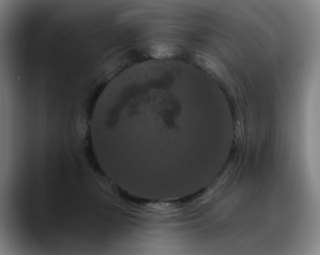 X0000088690367200706141416