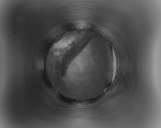 X0000088690368200706141416